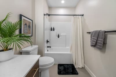Your modern bathroom features a relaxing tub-shower combo with fresh towels and tropical plants creating a spa-like atmosphere.
